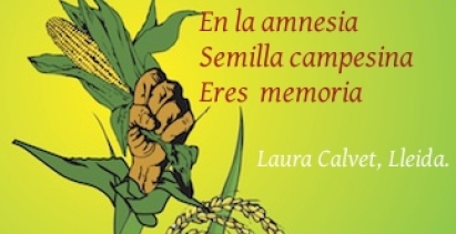 Laura Calvet, Lleida